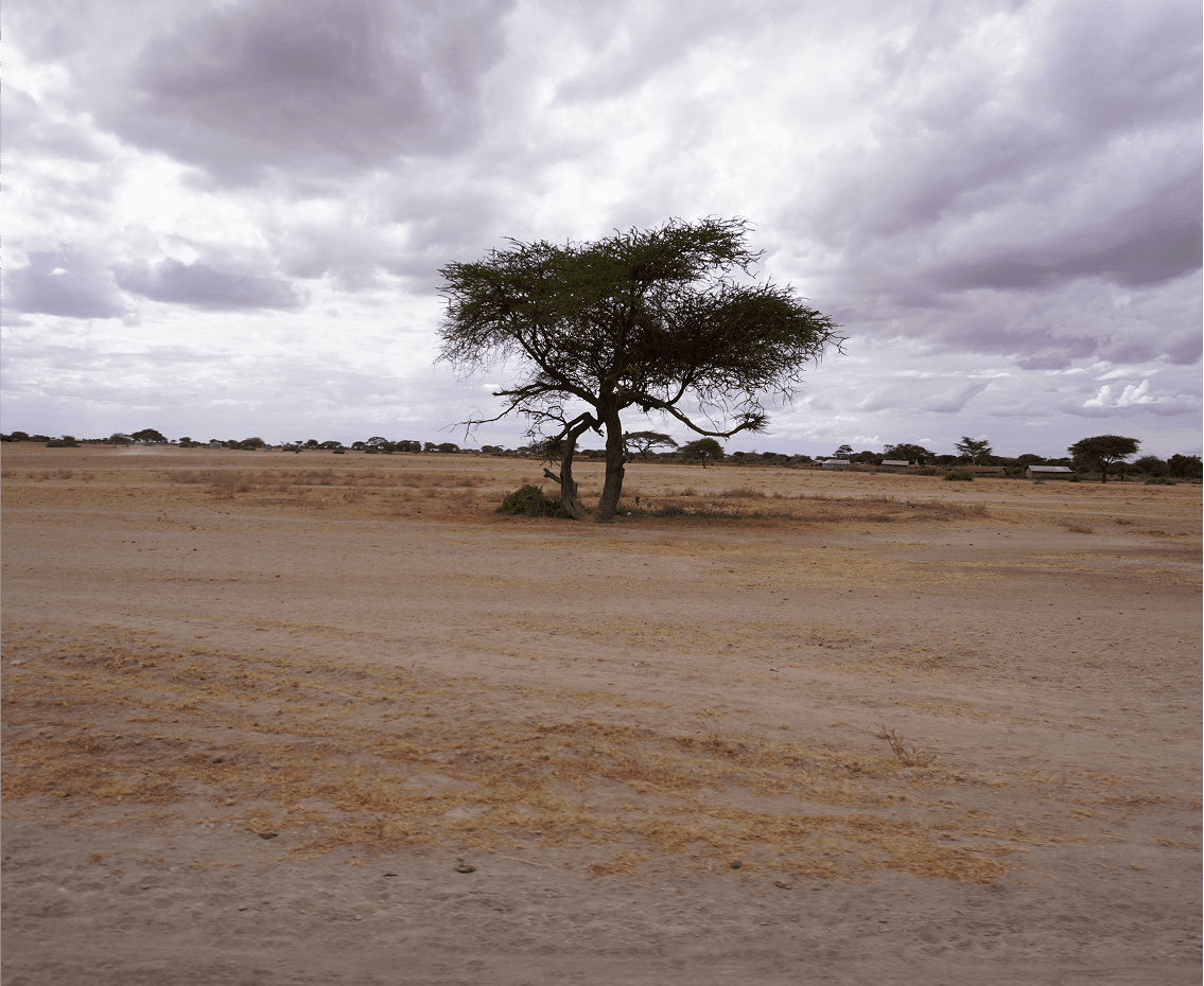 climate Image